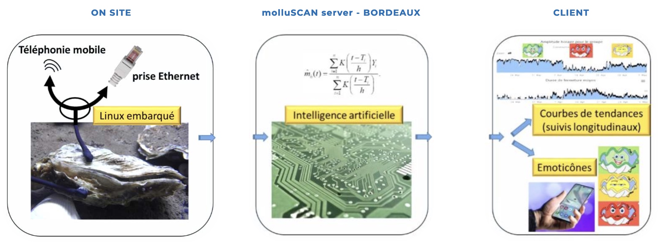 Des mollusques intelligents – oui, des mollusques intelligents – pourraient surveiller la pollution de nos cours d’eau 24 heures sur 24 et 7 jours sur 7