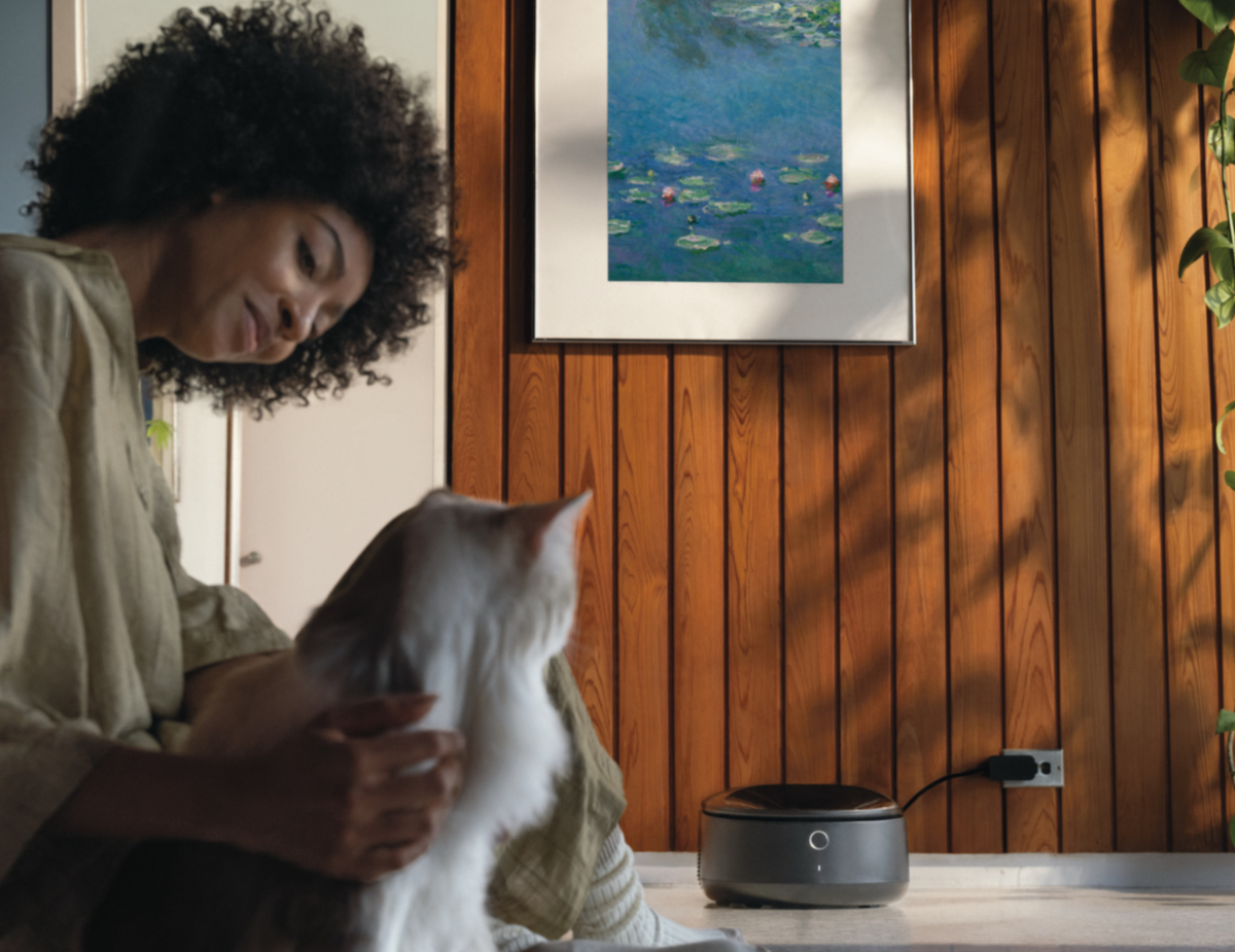 La nouvelle mangeoire intelligente réfrigérée pour aliments humides de Petlibro est ce que votre chat mérite