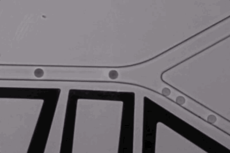 Allozymes met ses enzymes accélérées au service d'un jeu de données et d'IA, levant 15 millions de dollars