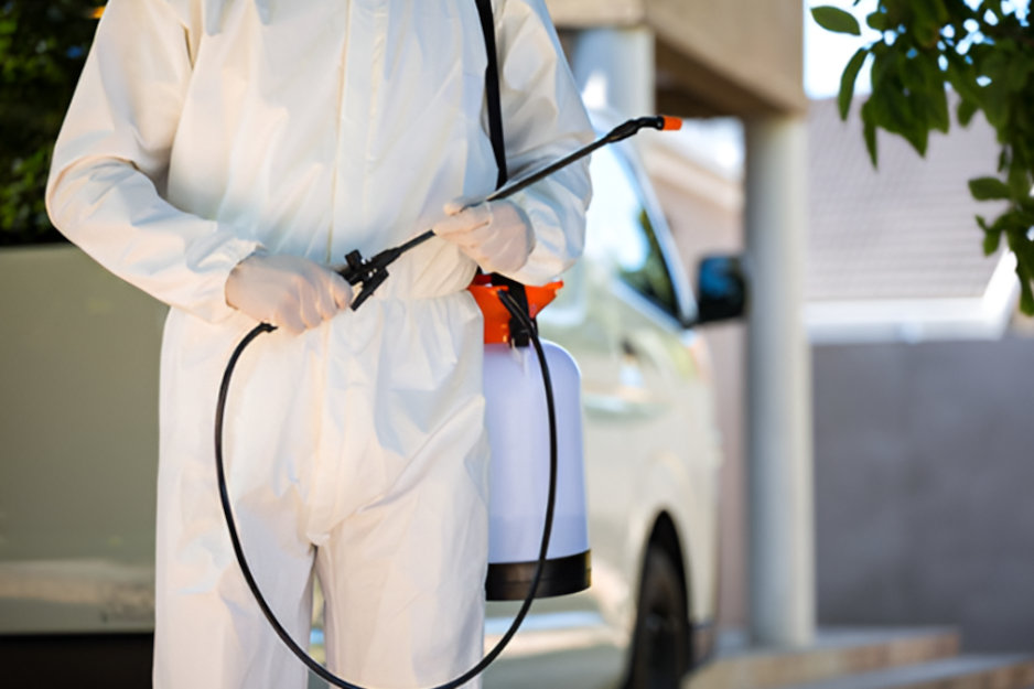 Comment choisir le bon exterminateur abordable pour votre maison