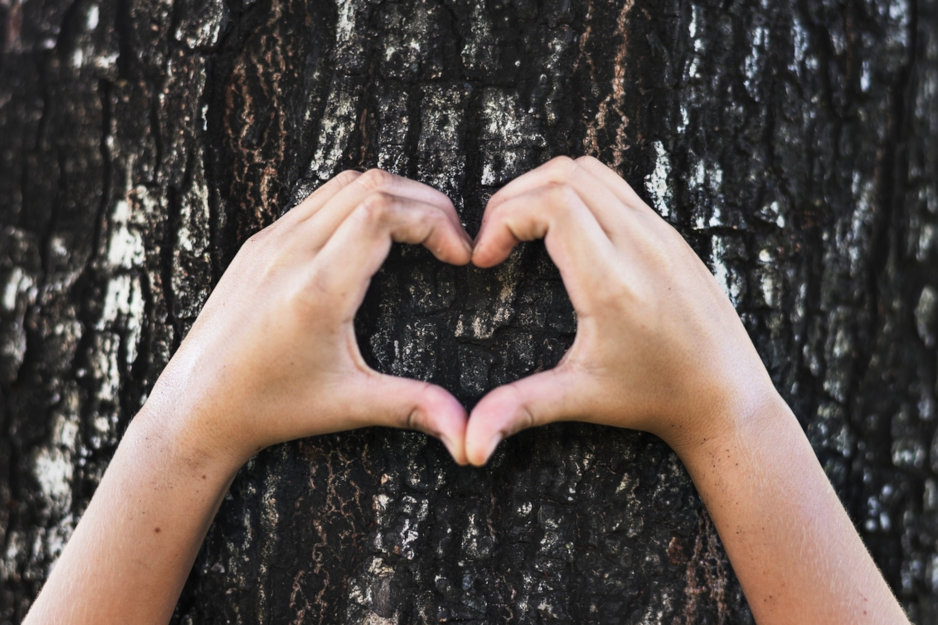 Comprendre comment la pension alimentaire pour enfants est calculée