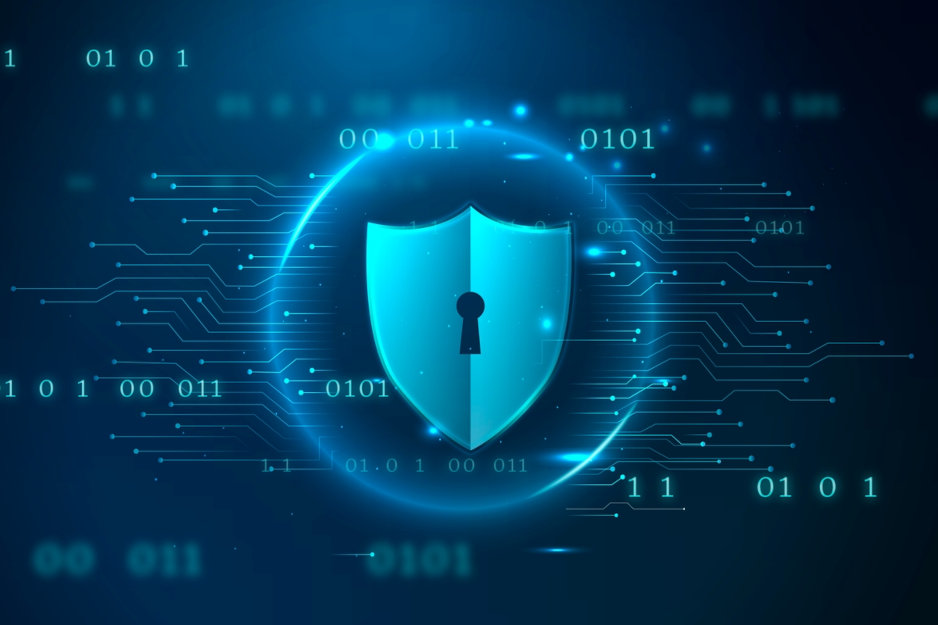 WAF et réseaux de diffusion de contenu : optimisation de la sécurité et des performances