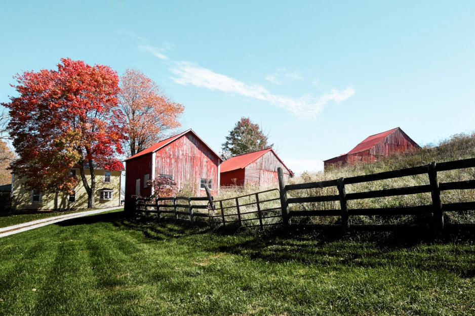 Investir dans les TEA