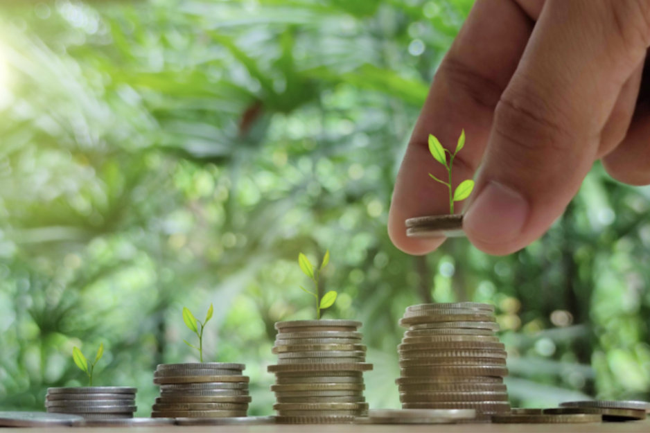 Une compétence clé pour les chefs d'entreprise dans une économie verte