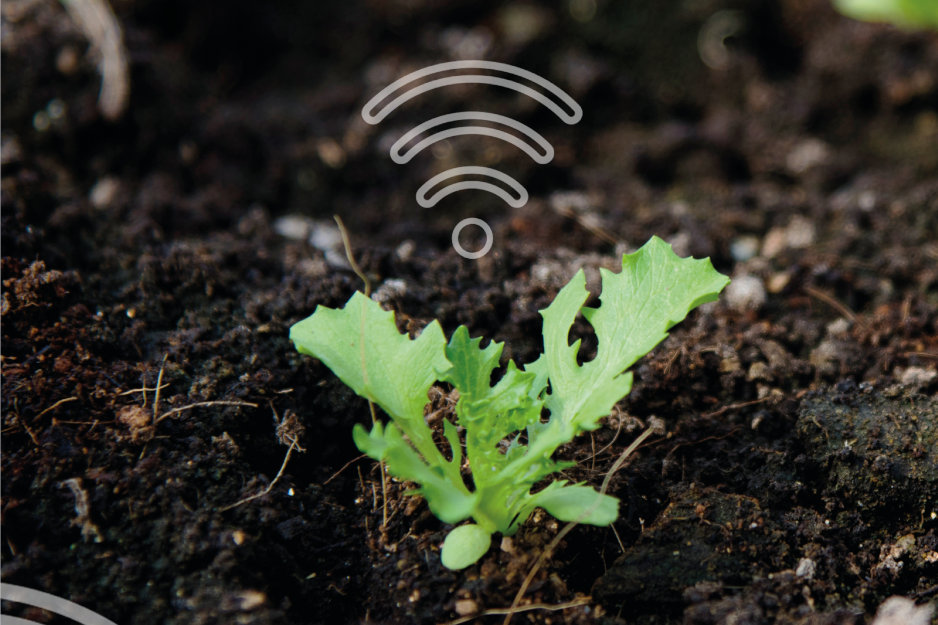 Agriculture intelligente