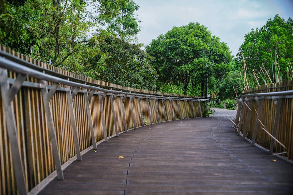 Thomson Nature Park Singapour