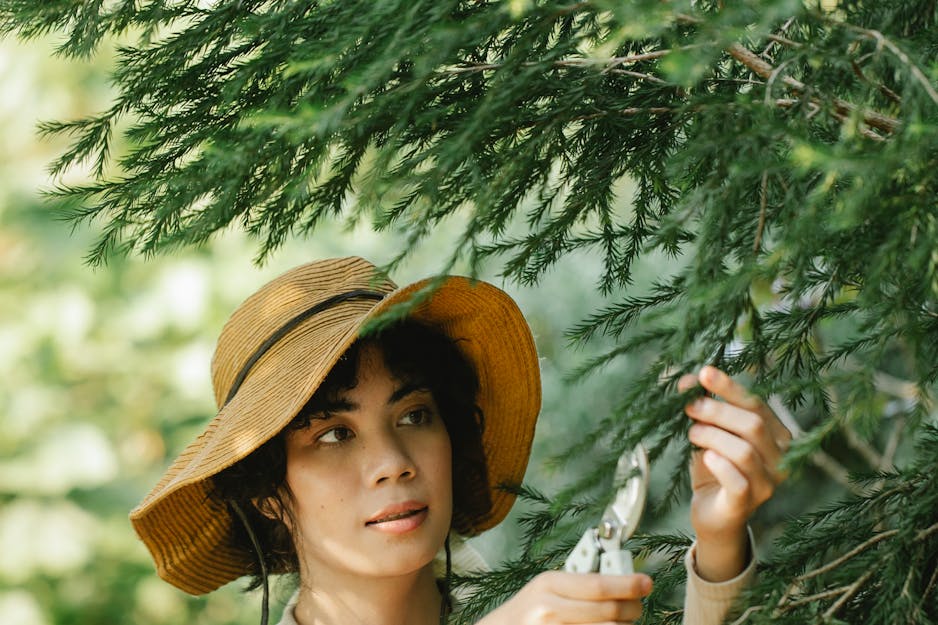 Stratégies innovantes pour développer votre activité de services d'arbres à l'ère numérique
