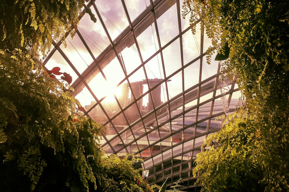 Jardin sur le toit de Singapour