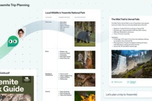 Microsoft embauche l'équipe de Cove, la plateforme de collaboration d'IA soutenue par Sequoia