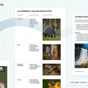 Microsoft embauche l'équipe de Cove, la plateforme de collaboration d'IA soutenue par Sequoia