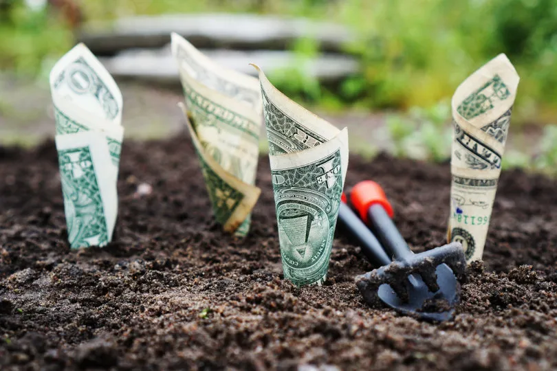 Financement des petites entreprises