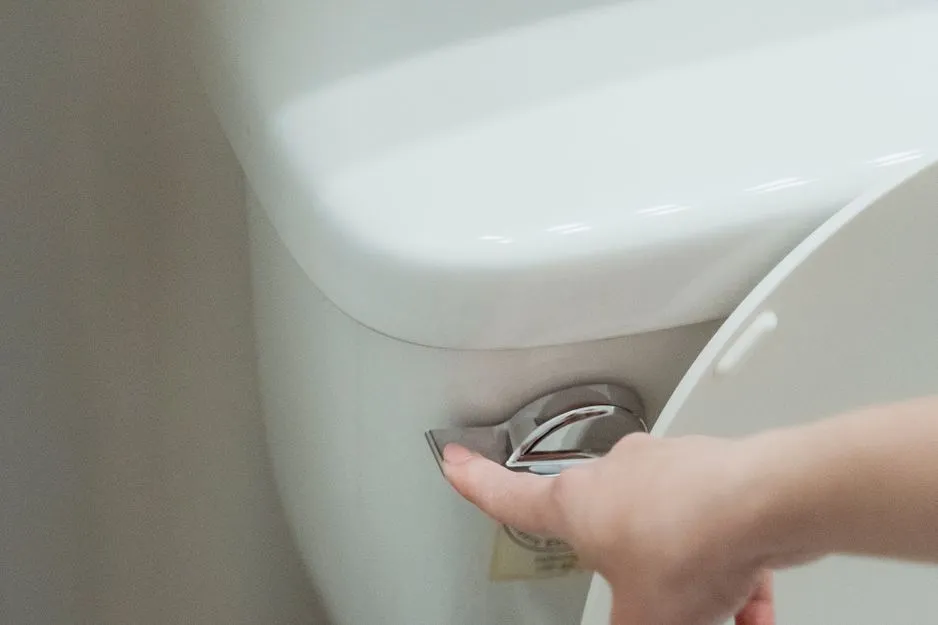 Entretien des toilettes